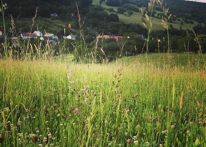 Gabika Дом отдыха